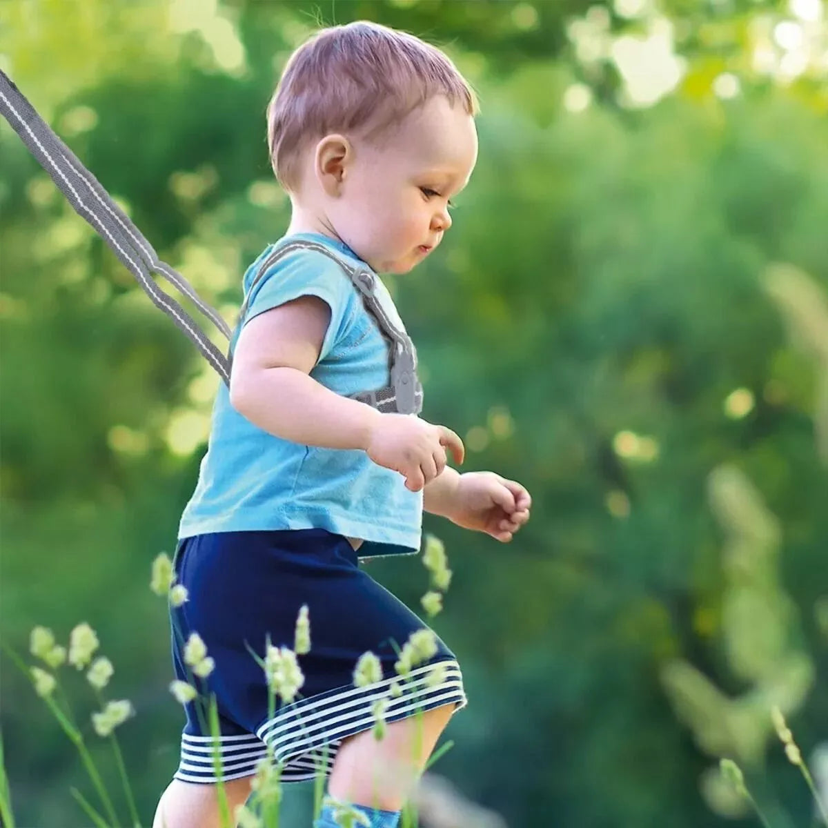 Saugumo diržai ir Pavadėlis Canpol 9/700 Grey