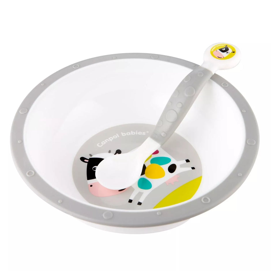 Stalo įrankių rinkinys Canpol 56/580 Grey